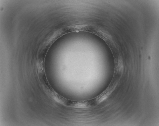 X0000080200236200612081435