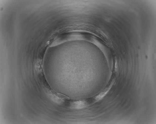 X0000080200237200612081435