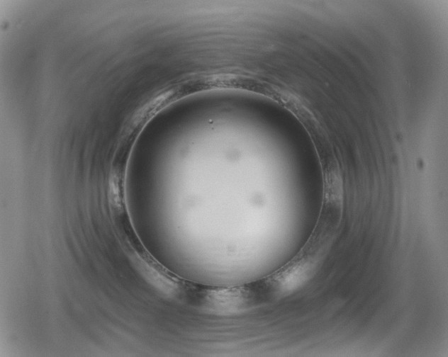 X0000080200238200612081435