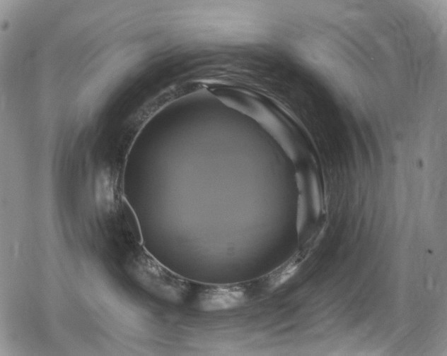 X0000080200239200612081435