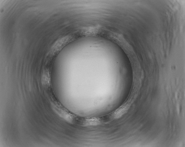 X0000080200240200612081435