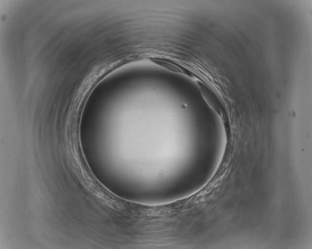 X0000080200241200612081434