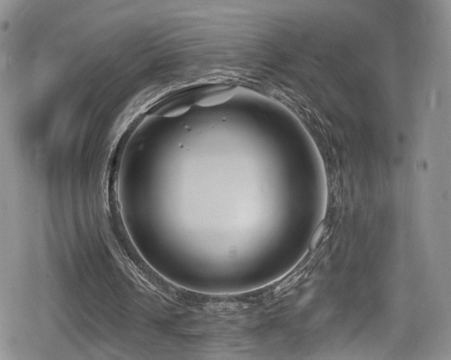 X0000080200242200612081434