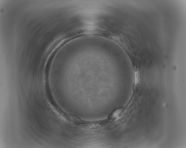 X0000080200243200612081434