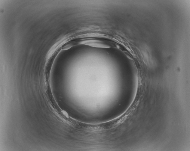 X0000080200245200612081434