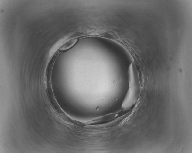 X0000080200246200612081434