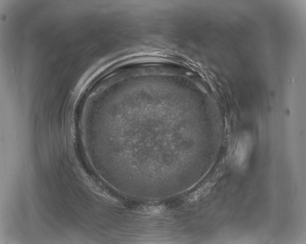 X0000080200247200612081434