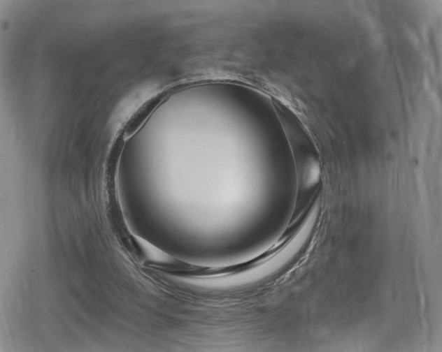 X0000080200248200612081434