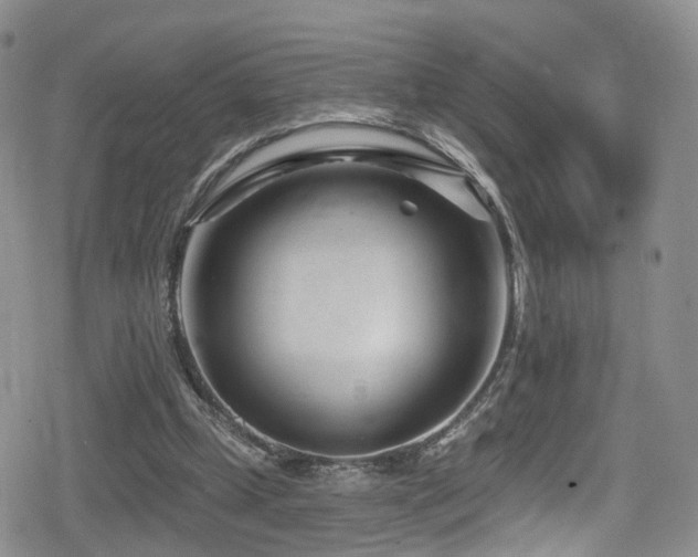 X0000080200249200612081434