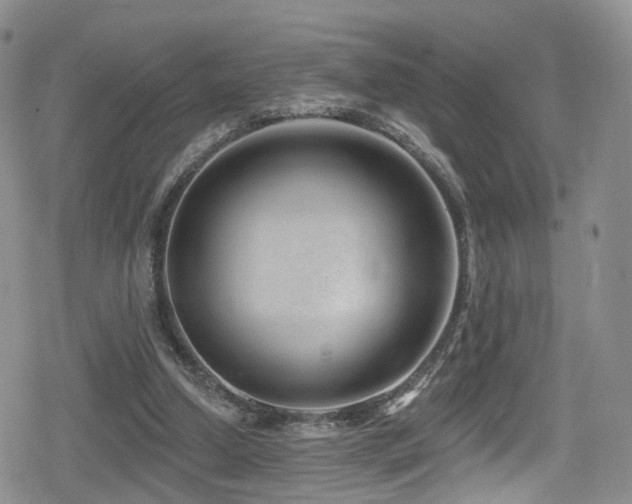 X0000080200250200612081434