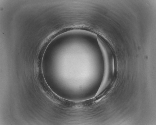 X0000080200252200612081434