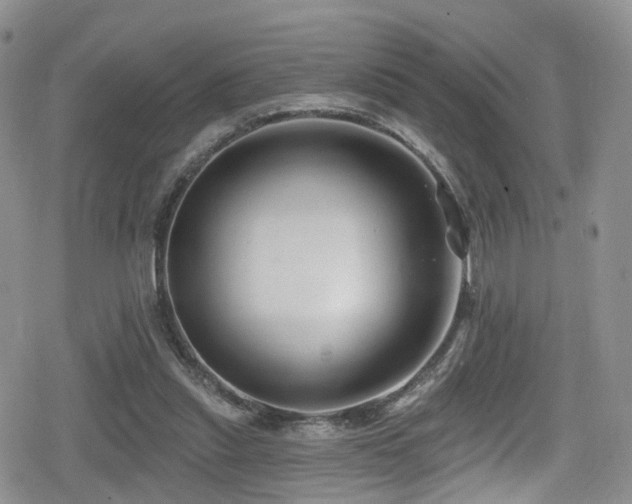 X0000080200253200612081434