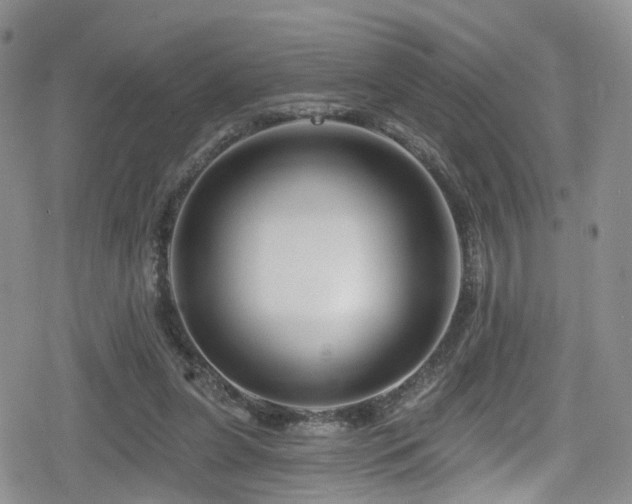 X0000080200255200612081434