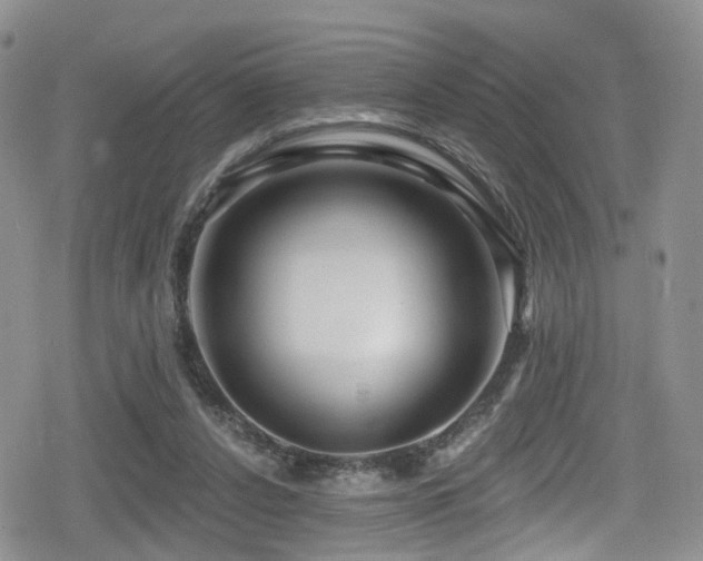 X0000080200256200612081434