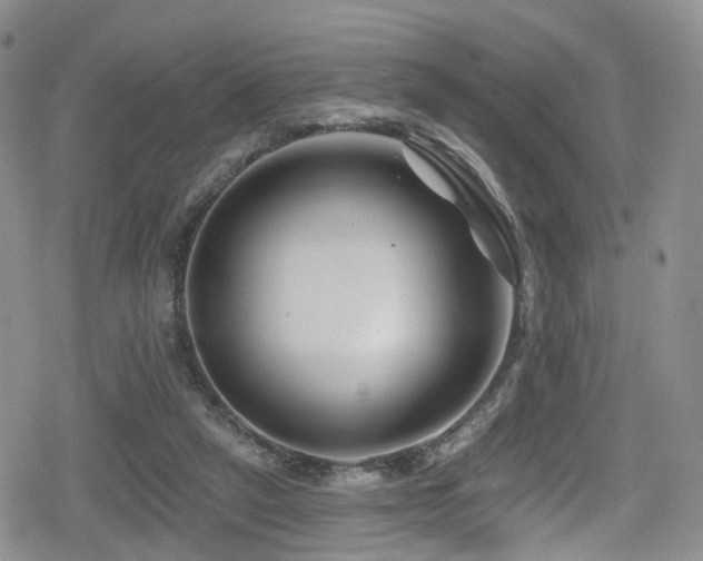 X0000080200257200612081434