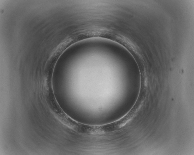 X0000080200258200612081434