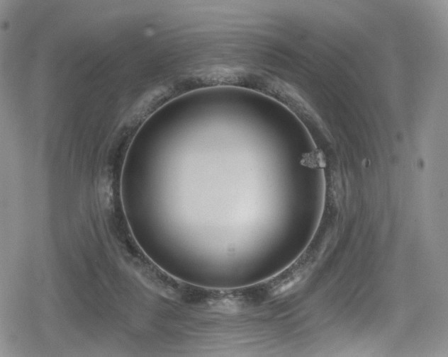 X0000080200259200612081434