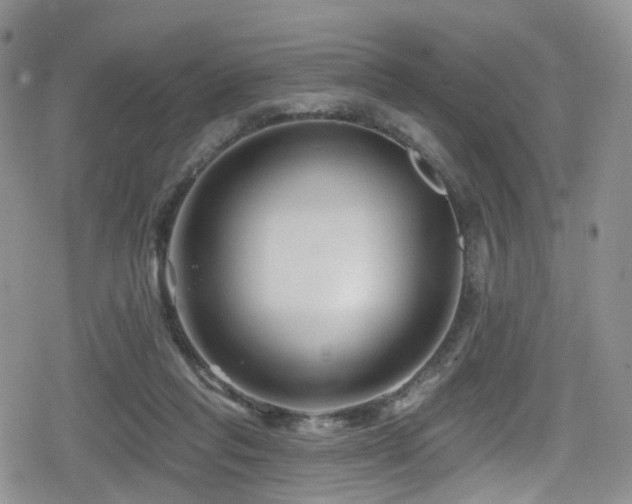 X0000080200261200612081434