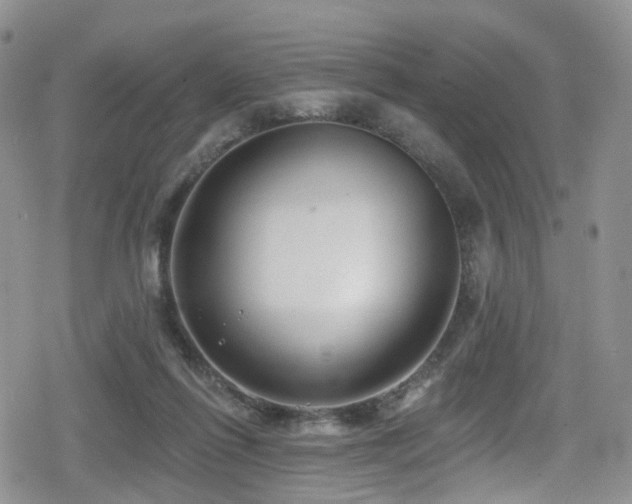 X0000080200262200612081435