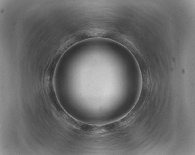 X0000080200263200612081435