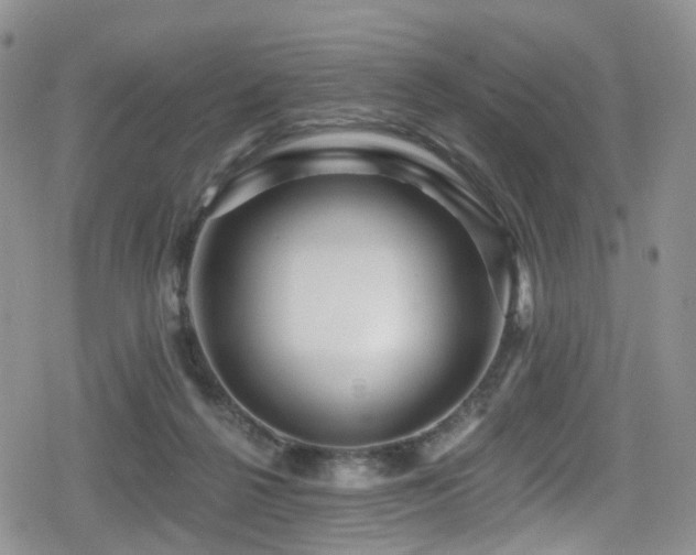 X0000080200264200612081435