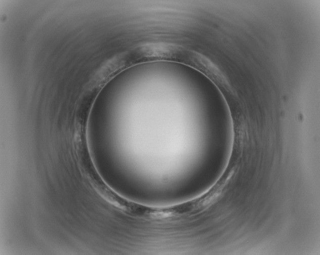 X0000080200265200612081435