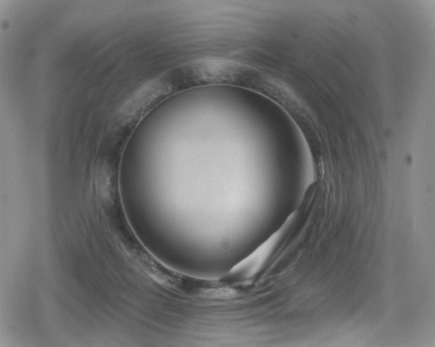 X0000080200266200612081435