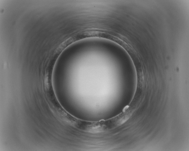 X0000080200267200612081435