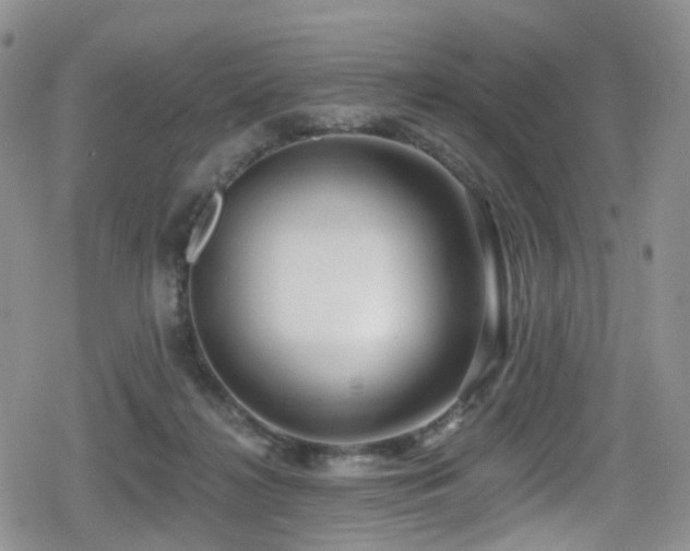 X0000080200268200612081435