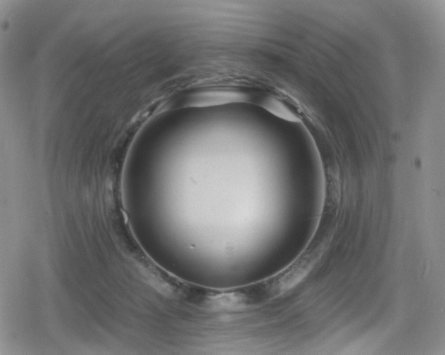 X0000080200269200612081435