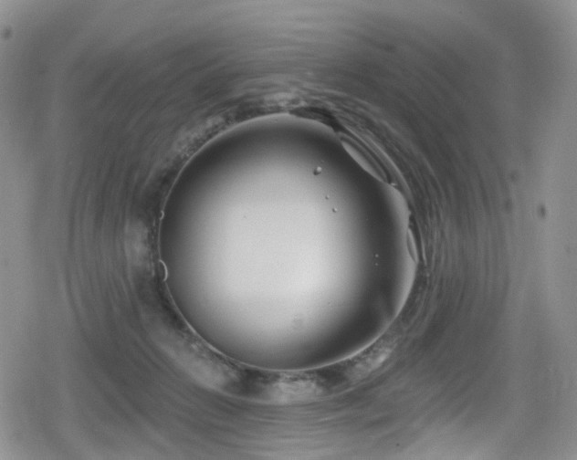 X0000080200270200612081435