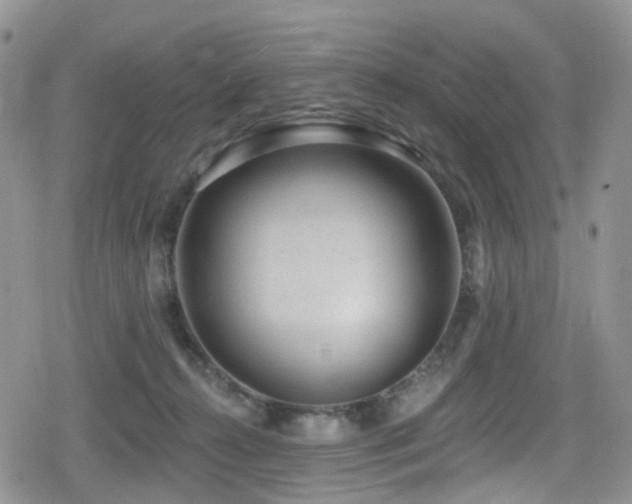 X0000080200272200612081435