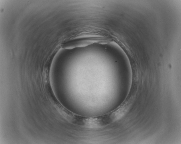 X0000080200273200612081435