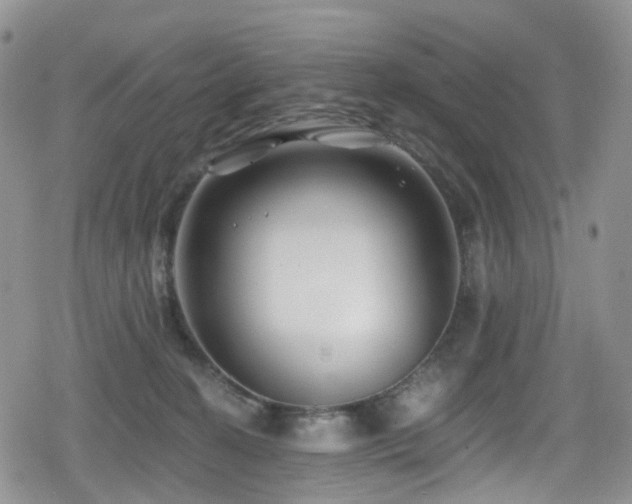 X0000080200274200612081435