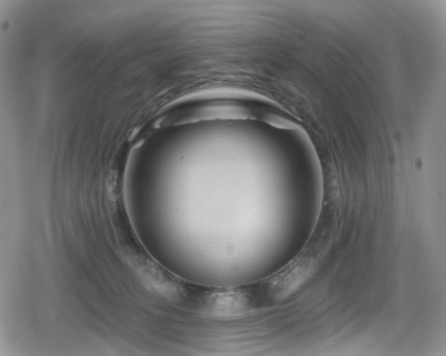 X0000080200275200612081435