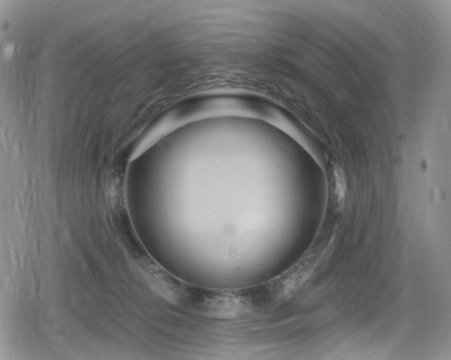 X0000080200276200612081435