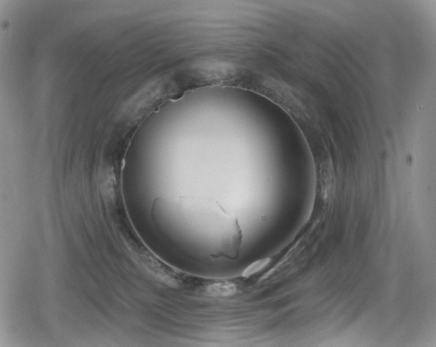 X0000080200279200612081435