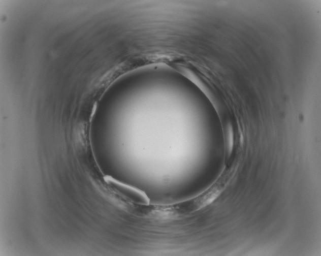 X0000080200280200612081435