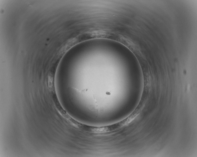 X0000080200281200612081435