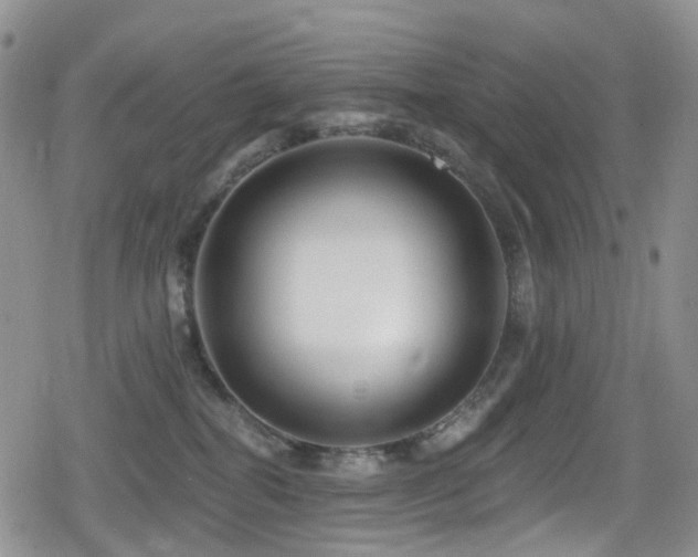 X0000080200282200612081435