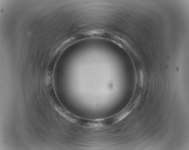 X0000080200284200612081435