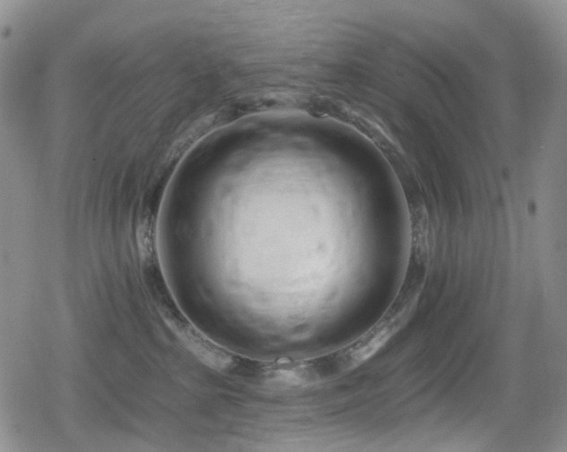 X0000080200285200612081435