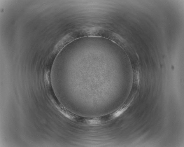 X0000080200286200612081435