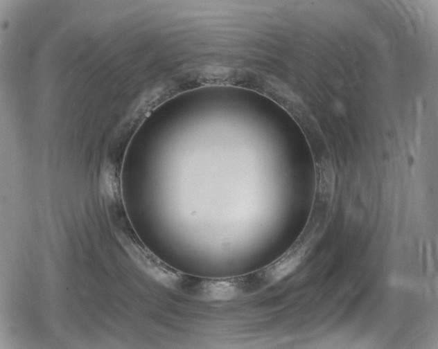 X0000080200287200612081435