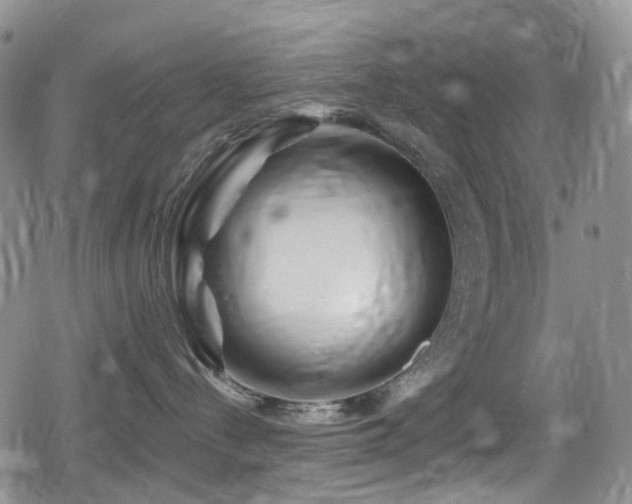 X0000080200288200612081435