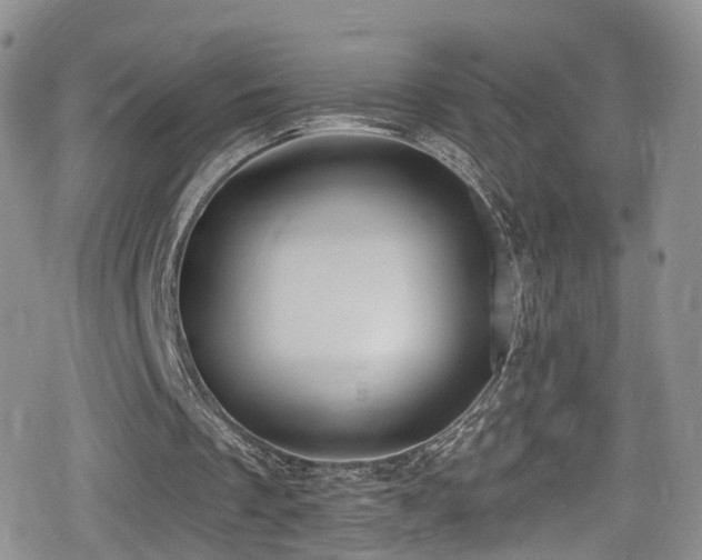 X0000080200289200612081434