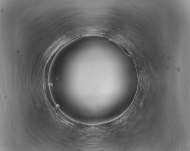 X0000080200290200612081434