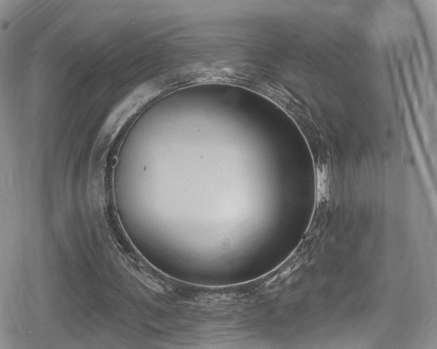 X0000080200291200612081434