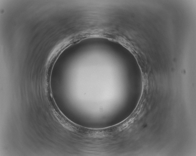 X0000080200293200612081434