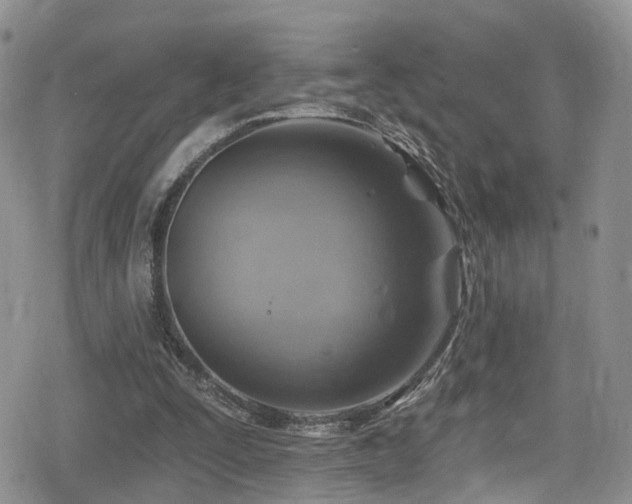 X0000080200295200612081434